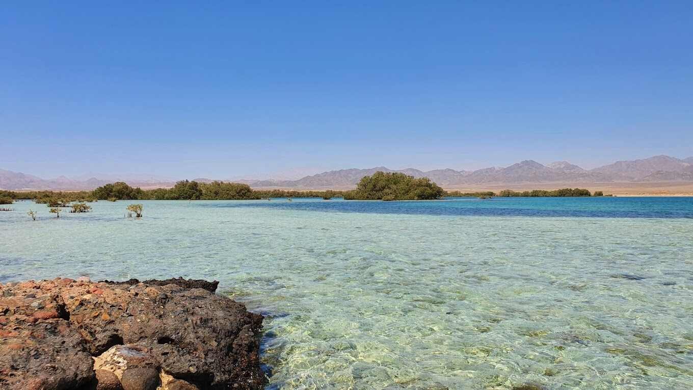 The Nabq Protected Area