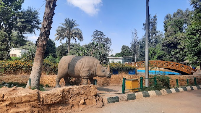 The best 5 zoos in Egypt