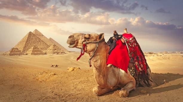 Top 6 things to do in Egypt