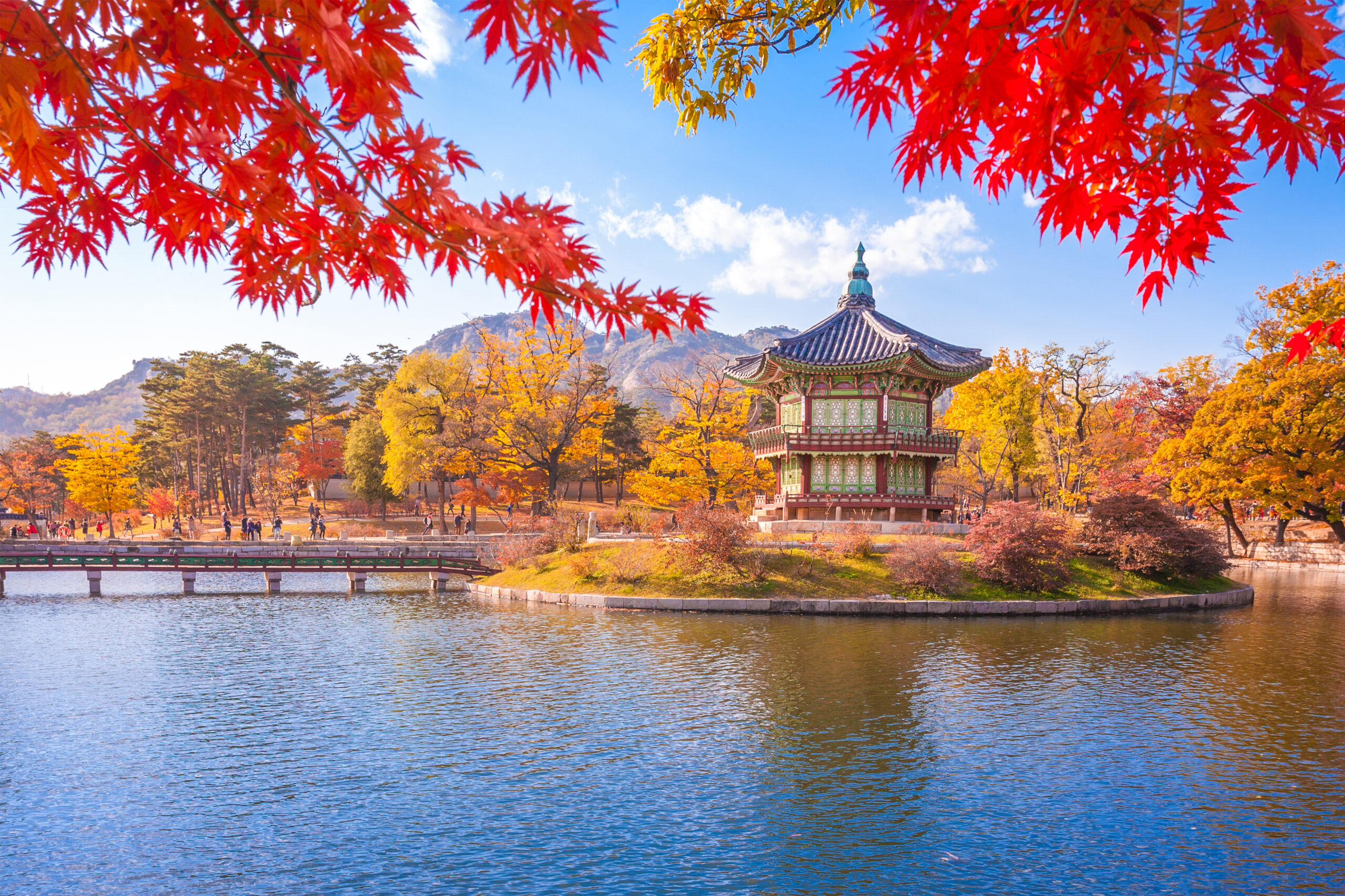 Korea Tours