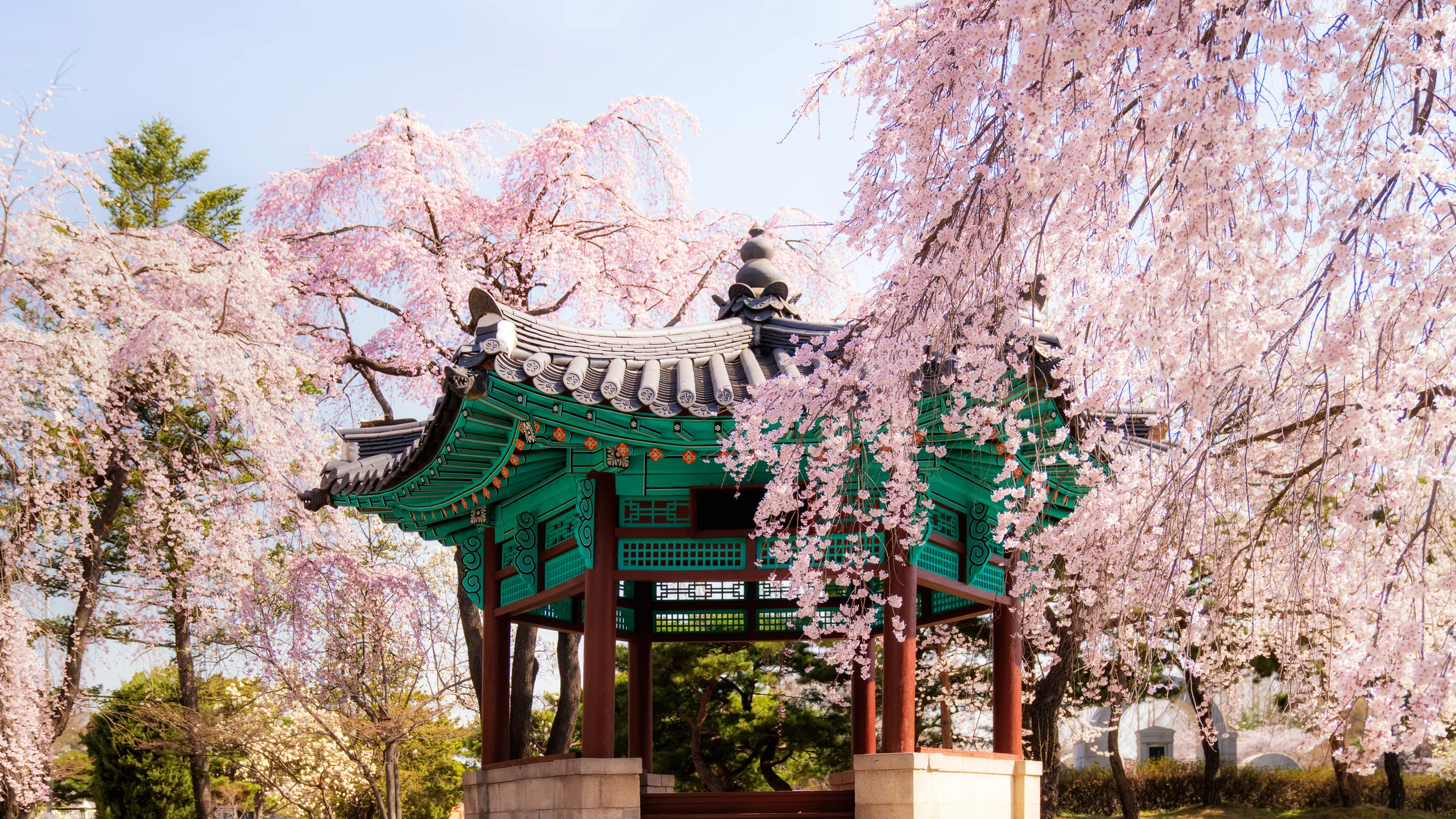 Korea