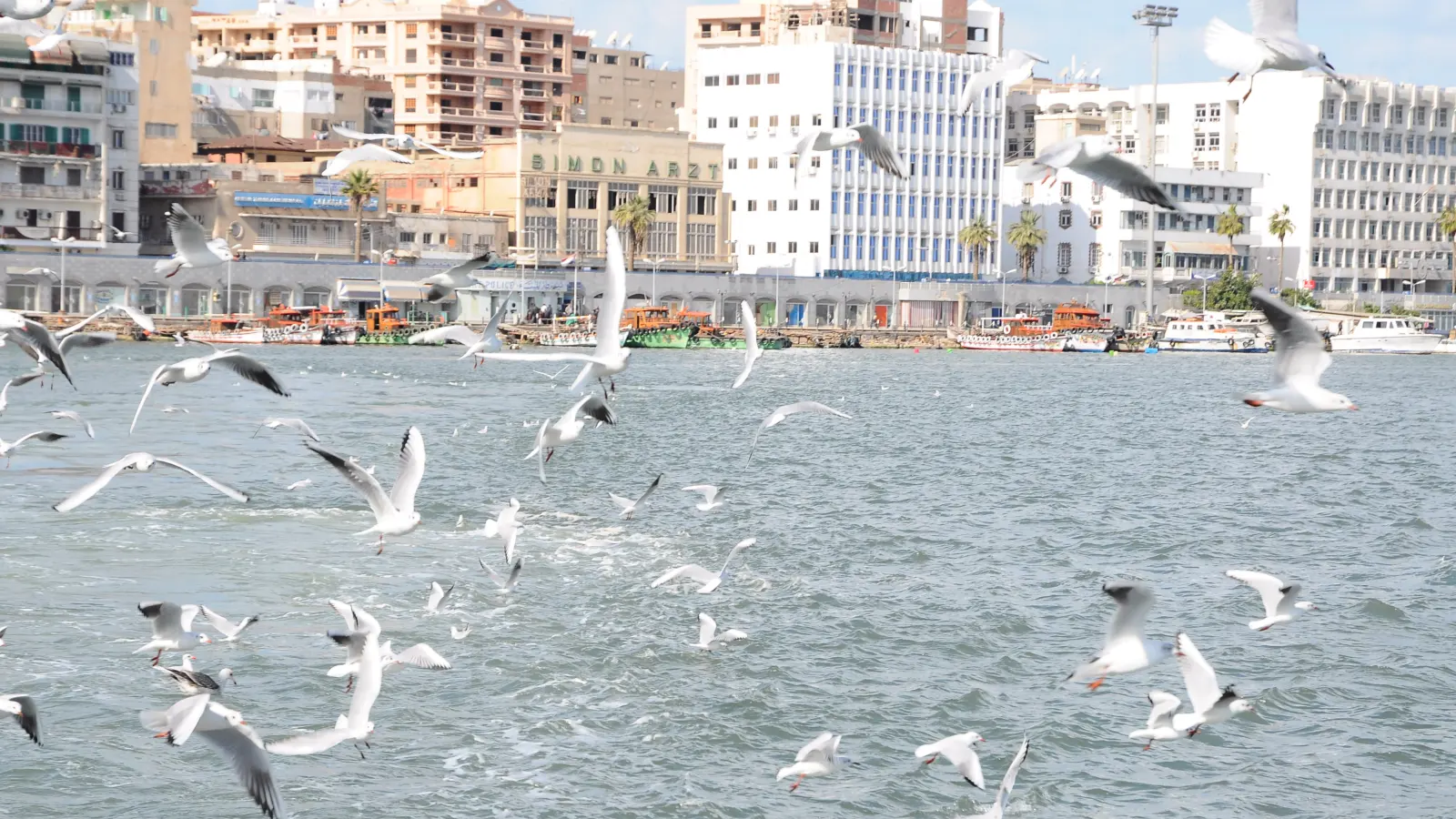 Port Said Shore Excursions