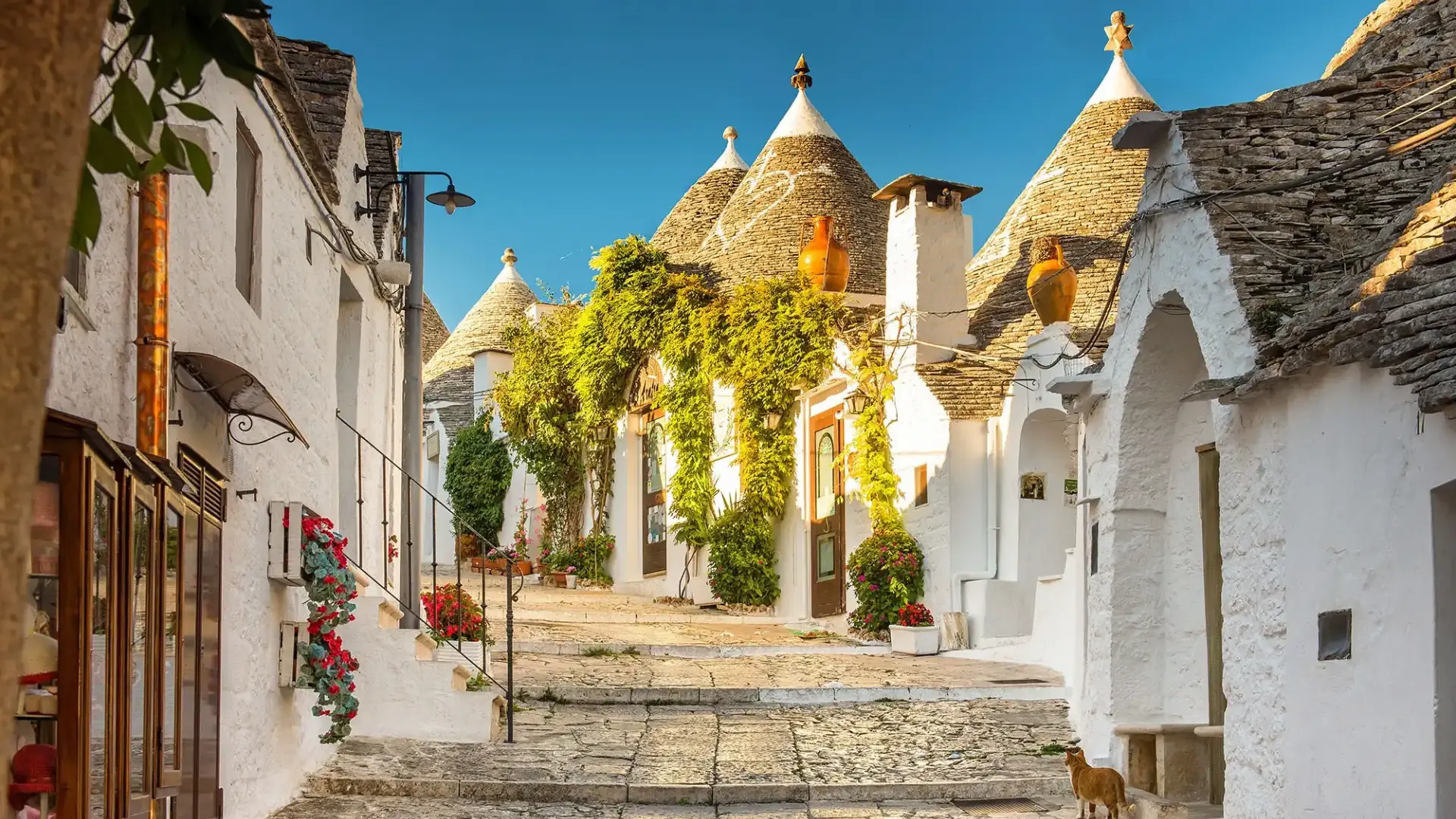 Amalfi Coast & Puglia: Wellness, Culture and 6 Days - 7 Nights