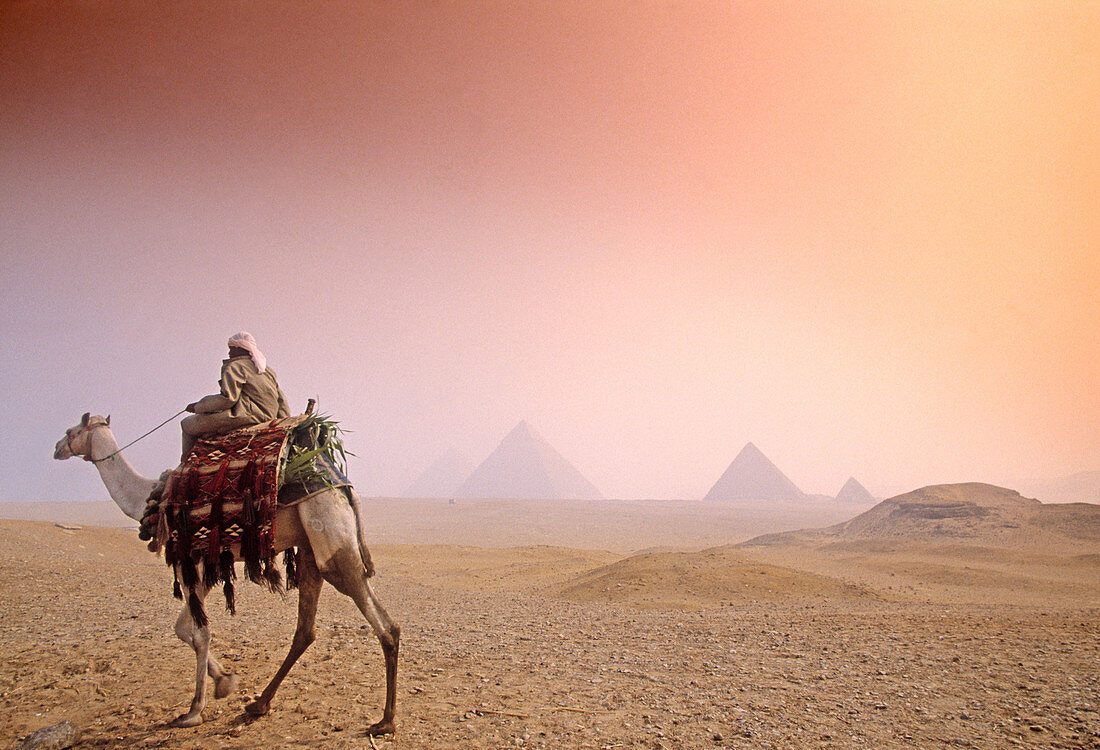 Luxury Nile Cruise and Cairo Tour