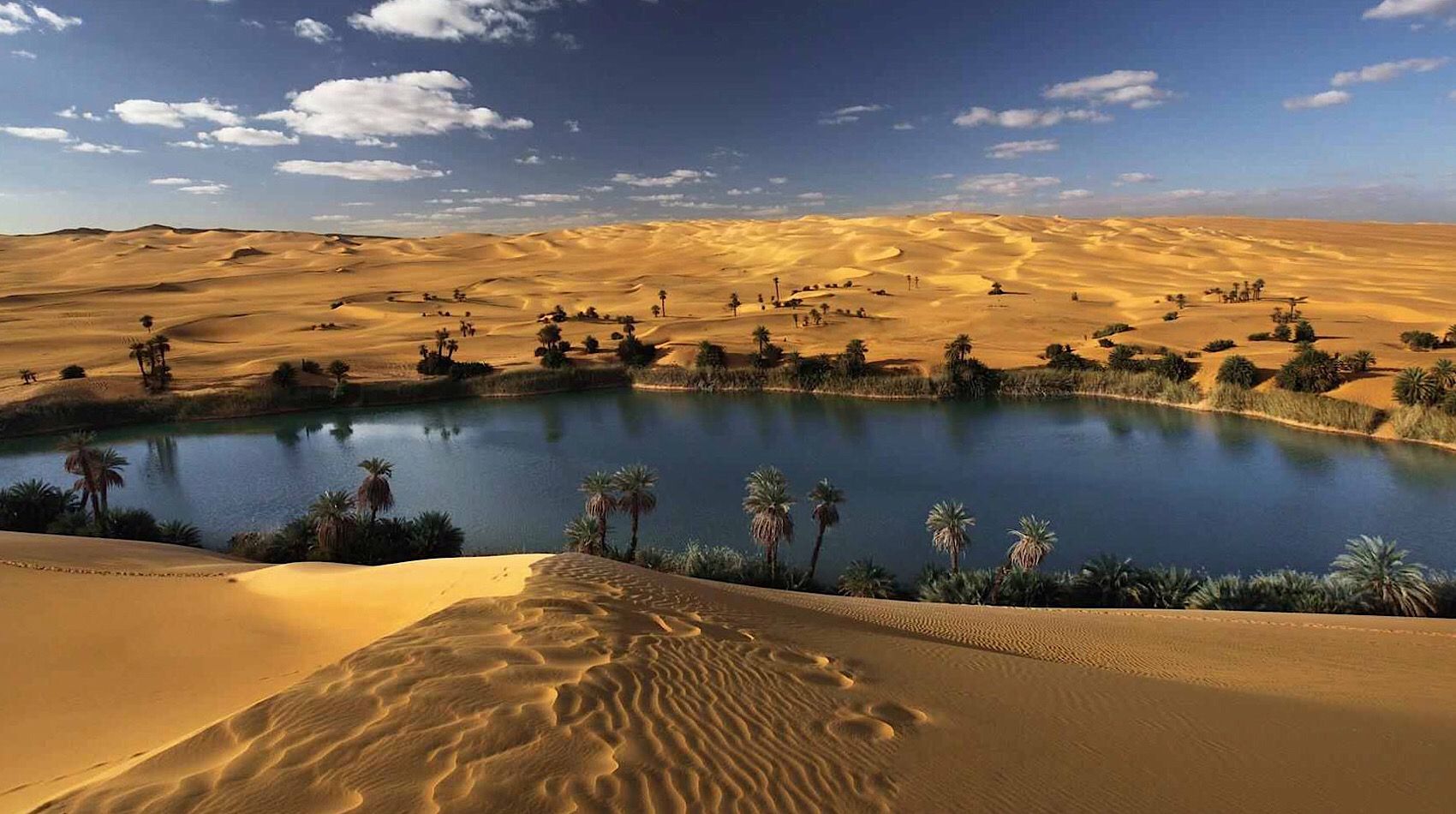 The White Desert and El Bahariya Oasis Desert Safari Overnight