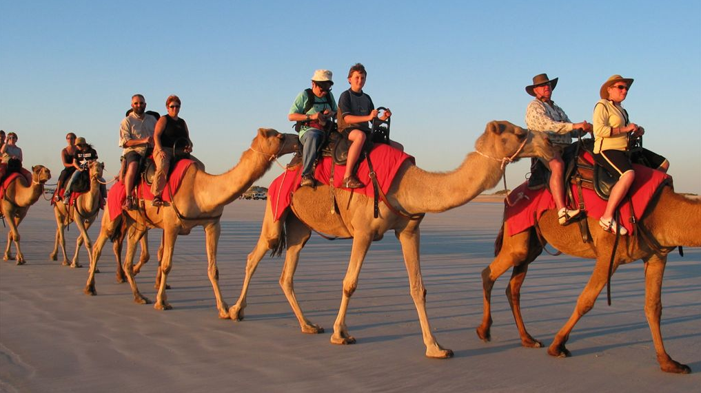 Luxury Nile Cruise and Cairo Tour