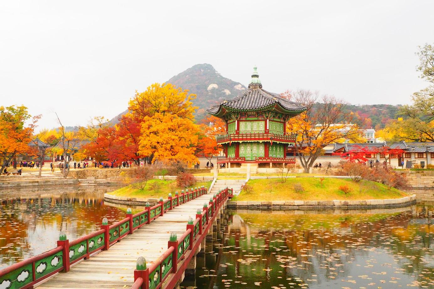 South Korea Private Tour