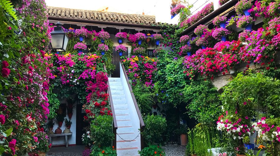 Spain, Gastronomic Experience