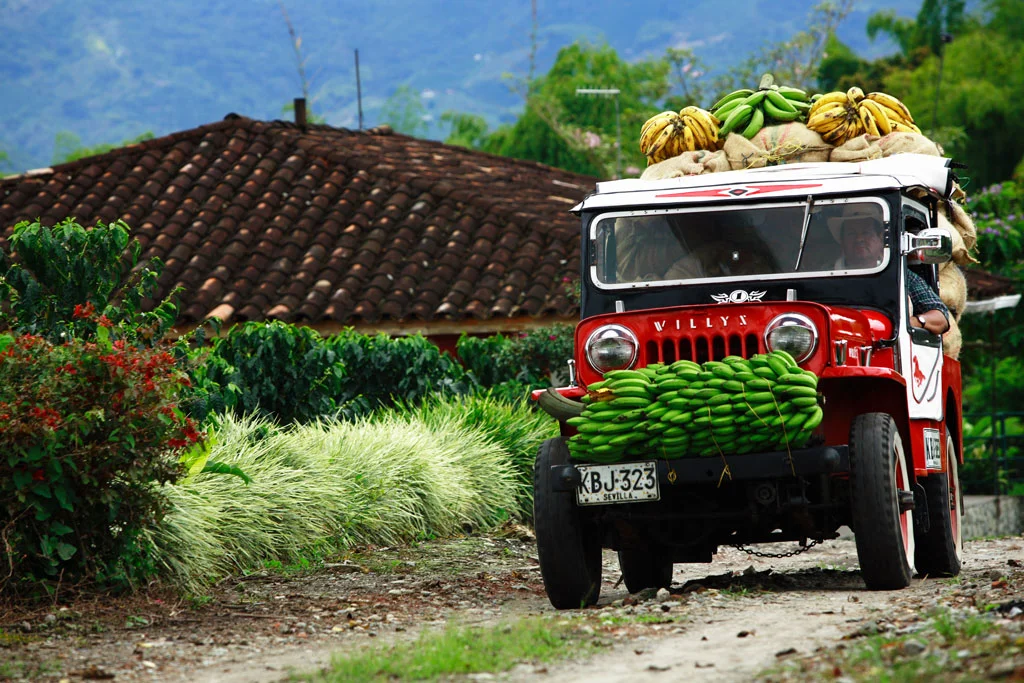 Explore Bogotá, Medellín, Coffee Region & Cartagena