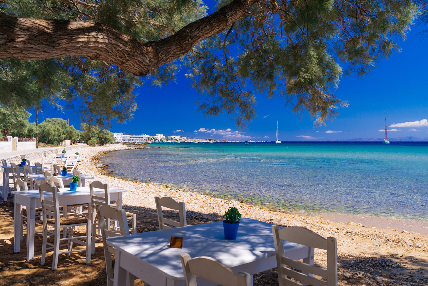 Discover the Cyclades - An Unforgettable 12-Day Greek Island Adventure