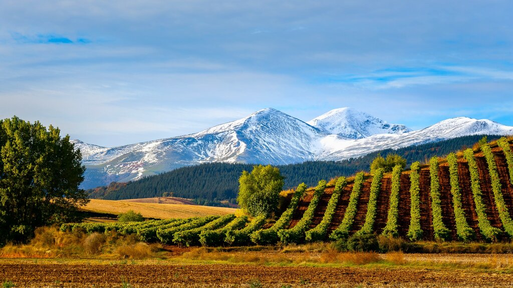 Best of Basque Country in 6 Days