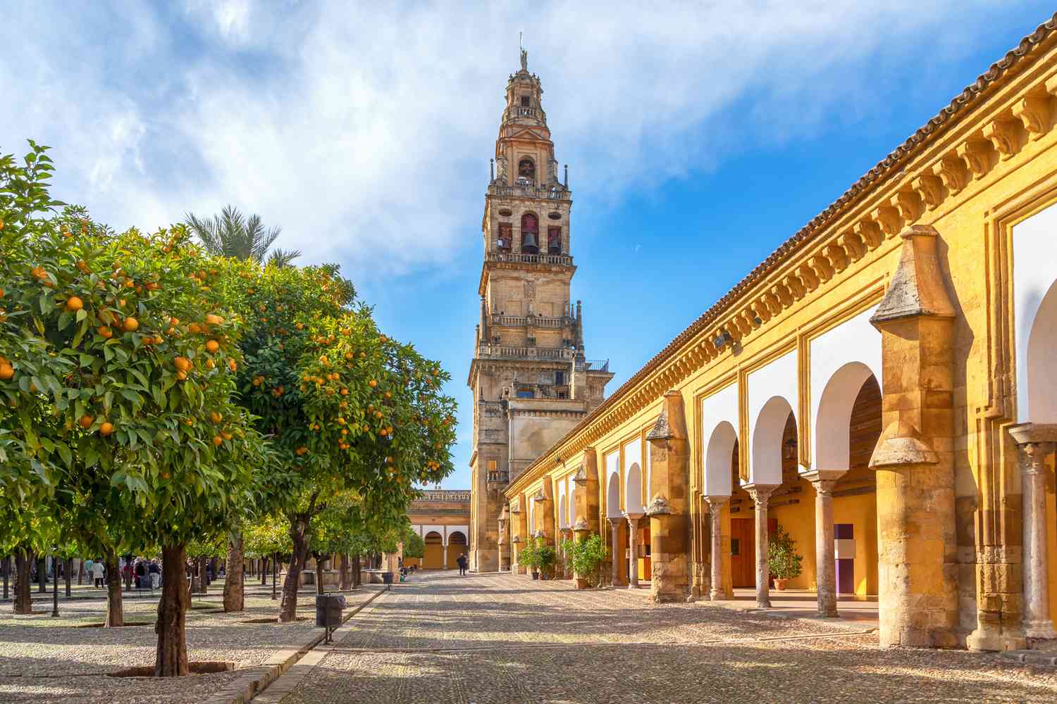 Spain, Gastronomic Experience